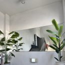 파동헬스 이미지