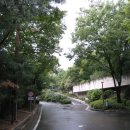 서울대도초등학교 이미지