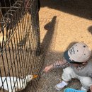 경기도 양평군 양평유치원 | [양평 실내 동물원] 4살 아기랑 이색체험! 서울근교 굼프로 곤충체험학습농장 후기