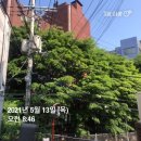 표선삼성의원 | 210512~210523