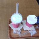기장지압안마원 | 양산범어직영점 [세라젬 웰카페] 방문후기