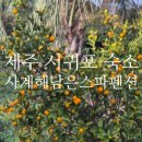 사계 해담은 이미지