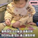 큰집전집 | 블루래빗 소리놀잼 최종리뷰, 미디어노출 없는 홈스쿨링완료
