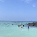 코난비치 이미지