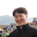 금산고려인삼도매