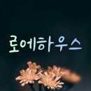 로에하우스