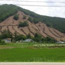 수림자원 이미지