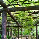 삼풍가든 이미지