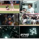 프로팀스타복싱 의왕점 | 야구여왕 출연진 선수 라인업 코치진 OTT 여자야구예능 정보 총정리(공식영상 티저 첨부)