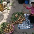 다마내기 이미지