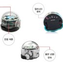 대전대양초등학교 이미지