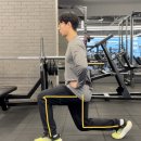 제24화. 체형 교정에는 편측성 운동!!(호계동 헬스장
