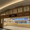 노티드 강남 | 신세계강남 스위트파크 노티드도너츠 신메뉴 우베 시리즈 후기