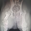 테크노연합 동물병원 이미지