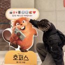 메이블미디어 | 졸귀 비버 영화 <호퍼스> 스포없는 솔직 관람 후기 / 쿠키 있음 / 2026 픽사 애니메이션 신작
