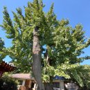 한음 이덕형(漢陰 李德馨) 선생 별서터(別墅址) 2025.09.10. 이미지