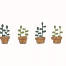 (주)미미식품