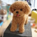 앨리스상점 이미지