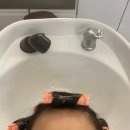 돌돌말아뽀글뽀글 이미지