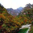 금강산 - 고령군 주산길 7 | 금강산