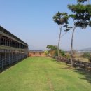 호 농장 이미지