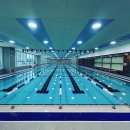 샤크베이레슨전문수영장 이미지