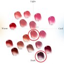 [라카 프루티 글램 틴트 후기] 123 언스윗베리, 122 로지 로즈 발색샷, 리뷰