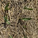 만산농장 이미지