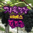 지율농장 이미지