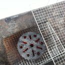 달아민박 이미지