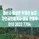 부제리 이미지