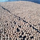 신령단위농업협동조합 이미지