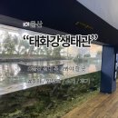 엄홍길전시관 외부화장실 | 태화강생태관 소개 및 후기 어른 아이 모두 즐거운 울산 실내 꼭 가봐야 하는 곳