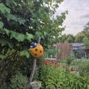 문화공간 예술텃밭 텃밭극장 이미지