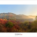 비밀의 정원 이미지