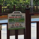 부산시민공원 야외주차장(남/녀) | 부산 시민공원 봄 피크닉 아기랑 산책하기 좋은 공원