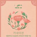 싸이다방 이미지