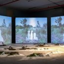 신진비디오 이미지