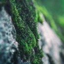 창북중학교 이미지