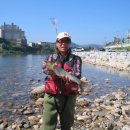 남산교앞 이미지