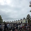 호랑이와 반달곰 | [에버랜드] 사파리월드 추석연휴 4시간 대기 후 15분 관람후기(호랑이, 사자, 시베리아 곰, 반달곰)