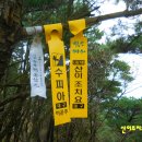 비들산정상 티스토리