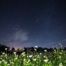 물돌이농장 이미지