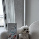 샤이니덴탈 이미지