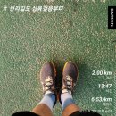 십육길