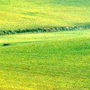 김재명농장 이미지