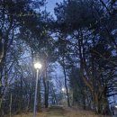 *함께하는 만보방-9-090 이미지
