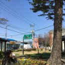 또하르네 이미지