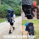 우리고장 역사와 포항학 | 도이터 배낭 아기 등산 캐리어 컴포트 등산가방 3년 4살 사용후기