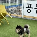 레인바우